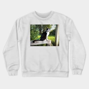 Robbi the cat shows his tongue Crewneck Sweatshirt